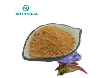 Cyanotis Arachnoides Extract