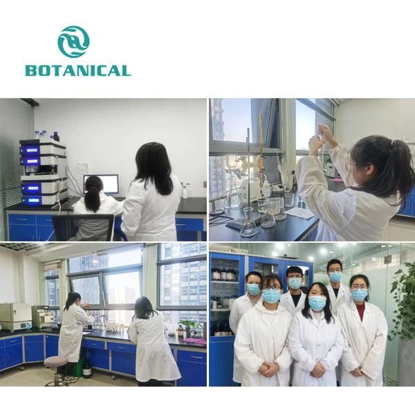 Bearberry Extract Powder