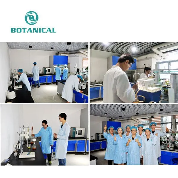 Eucommia Ulmoides Leaf Extract
