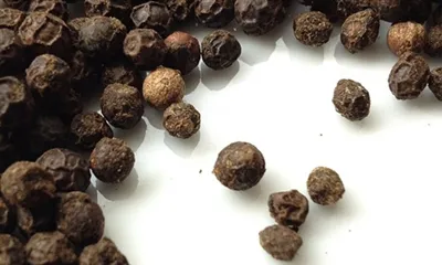 Piperin bioavailabilityni qanday oshiradi?