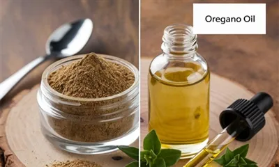 Oregano ekstrakti va yog'i o'rtasidagi farq nima?