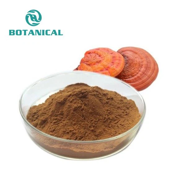 Reishi qo'ziqorin spore kukuni